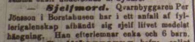 b2ap3_thumbnail_Sydsvenska-Dagbladet-Snllposten-1874-05-01.jpg